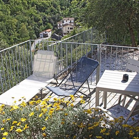 La Terrazza Con L'Ulivo - Guesthouse Con Terrazza E Vista Sul Golfo Dei Poeti La Spezia Ngoại thất bức ảnh