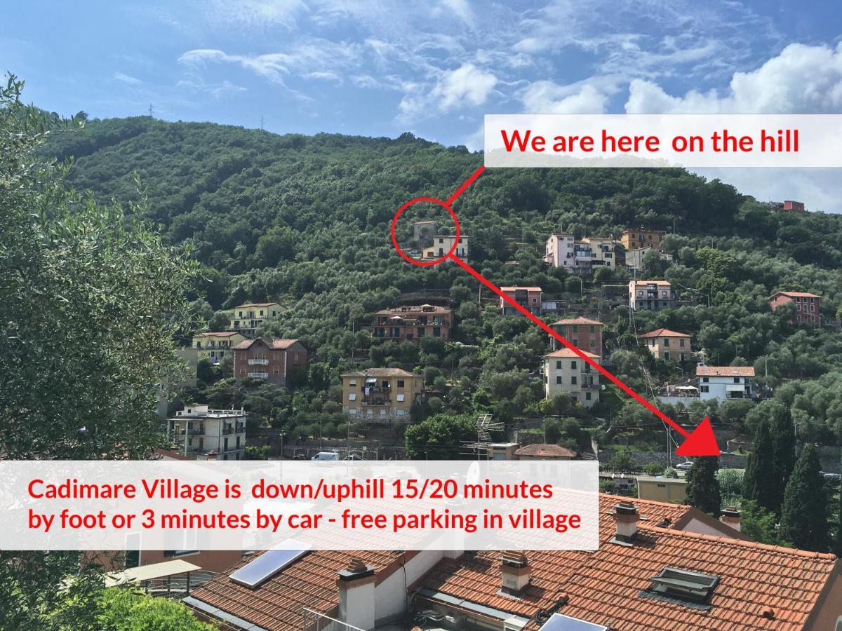 La Terrazza Con L'Ulivo - Guesthouse Con Terrazza E Vista Sul Golfo Dei Poeti La Spezia Ngoại thất bức ảnh